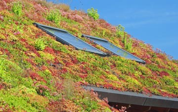 Llechfraith living roof systems