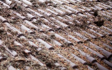 Llechfraith roof cleaning companies