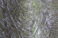 Llechfraith fibreglass roof work